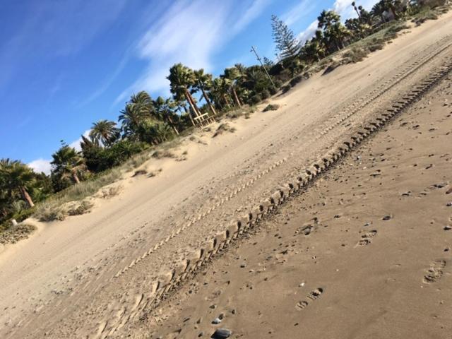 מארבלה Apartamento Beachfront La Jacaranda מראה חיצוני תמונה